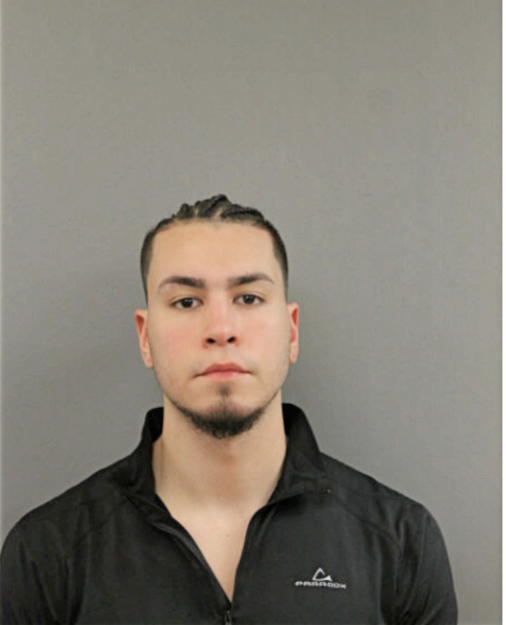 ENRIQUE D SANTIAGO, Cook County, Illinois
