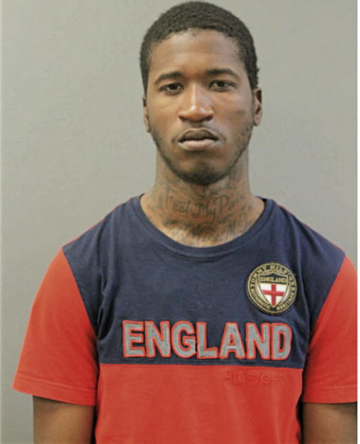 LANCE D SIMS, Cook County, Illinois