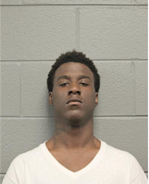 MICHAEL C STEWARD, Cook County, Illinois