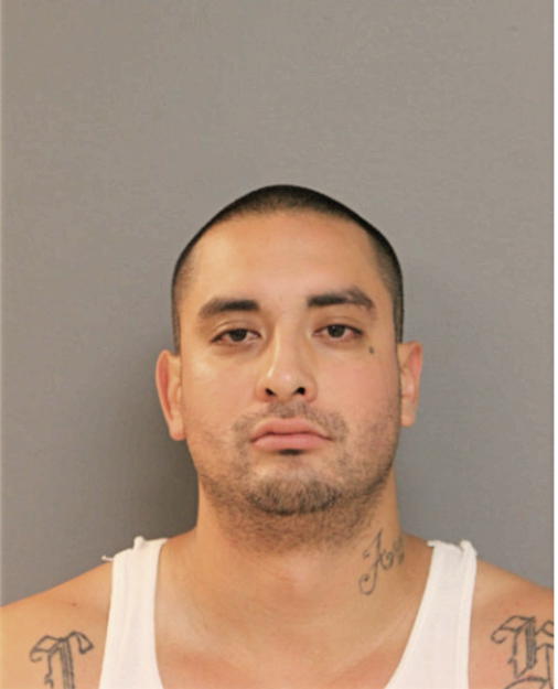 FRANCISCO J VILLAGOMEZ, Cook County, Illinois