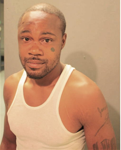 LARRY D WILLIAMS, Cook County, Illinois