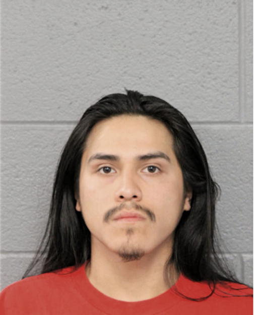 ESTEBAN ANDRADE, Cook County, Illinois
