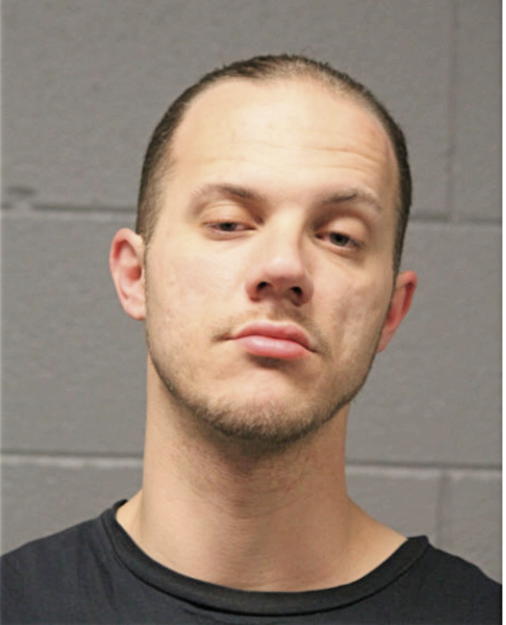 STANLEY T BRZOZOWSKI, Cook County, Illinois