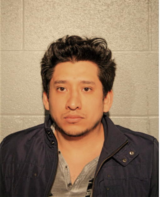 OSCAR J FELIX-LARA, Cook County, Illinois