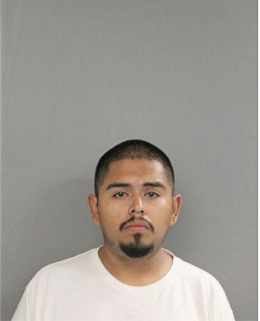 ANDRES MALAVE GUZMAN, Cook County, Illinois