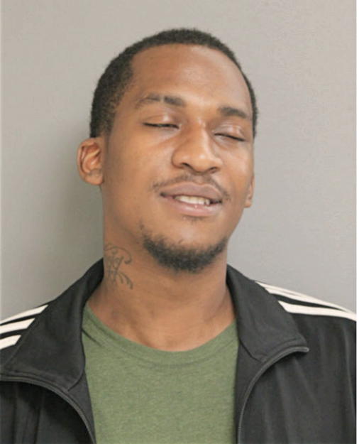 STEVEN E HAMPTON, Cook County, Illinois