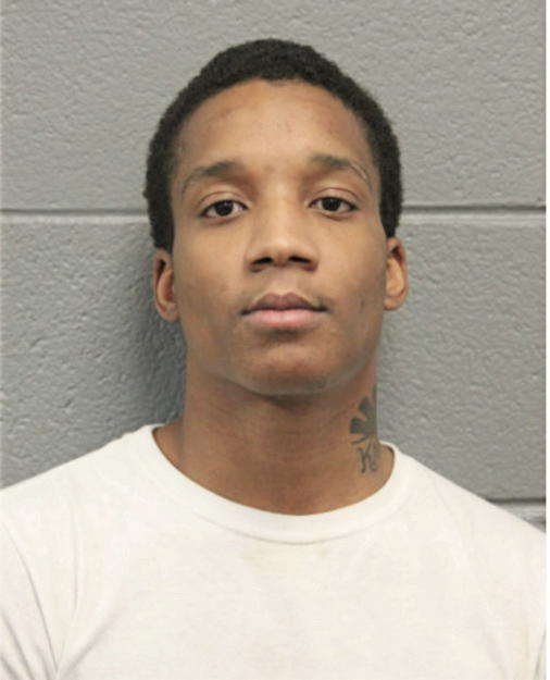MICHAEL L LARES, Cook County, Illinois