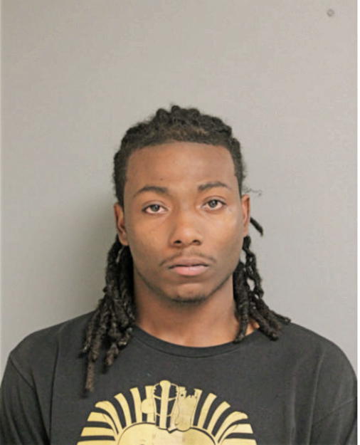 CHRISTIAN LOGAN, Cook County, Illinois