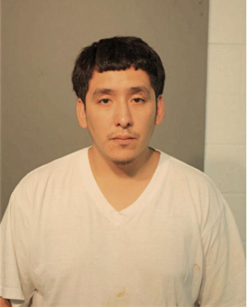 RICARDO MENDOZA, Cook County, Illinois