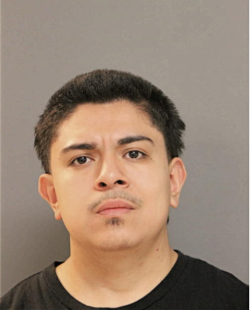 NOE NAVARRO, Cook County, Illinois