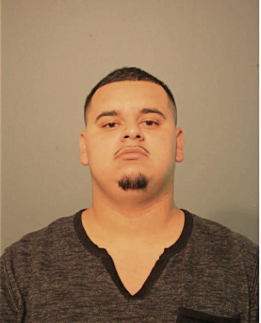 ANDRES OCHOA, Cook County, Illinois