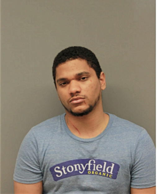 MARIO ORTIZ, Cook County, Illinois