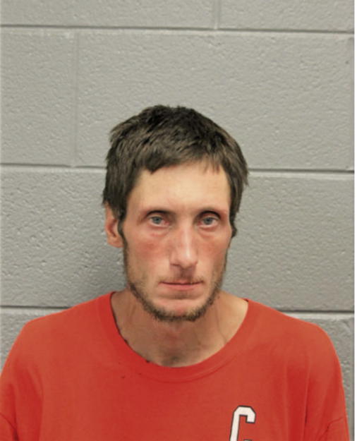 BRANDON L PIATKIEWICZ, Cook County, Illinois