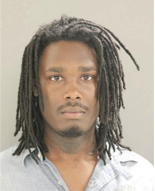 ANDRE SCHEAFERS, Cook County, Illinois
