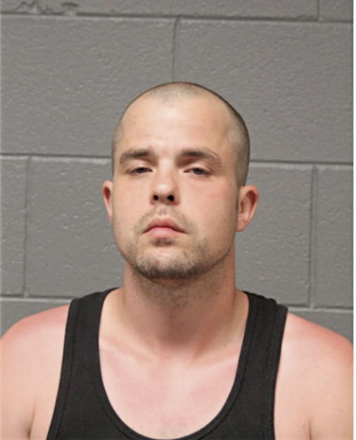STEVEN E SICKINGER, Cook County, Illinois