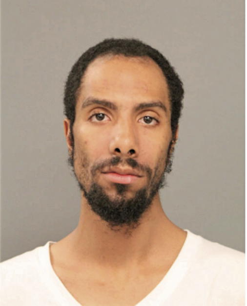 CHRISTOPHER A STURDIVANT, Cook County, Illinois