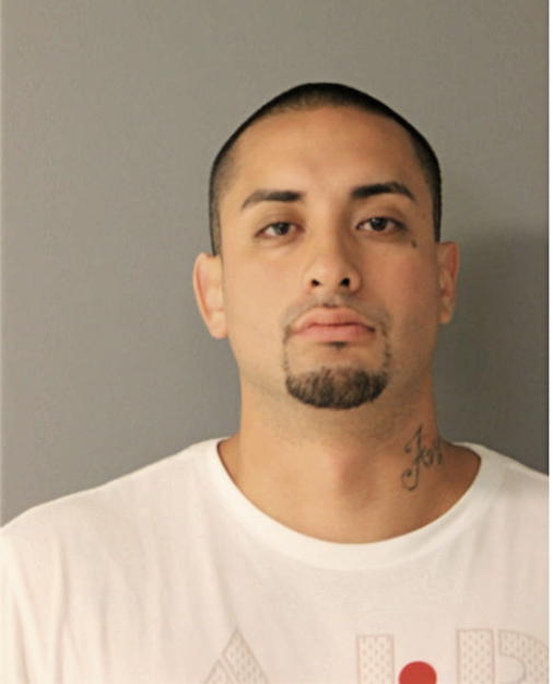 FRANCISCO VILLAGOMEZ, Cook County, Illinois