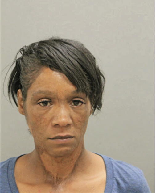RONDA V WILSON, Cook County, Illinois