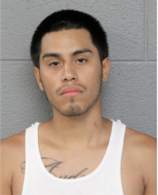 NOEL ANDRADE, Cook County, Illinois