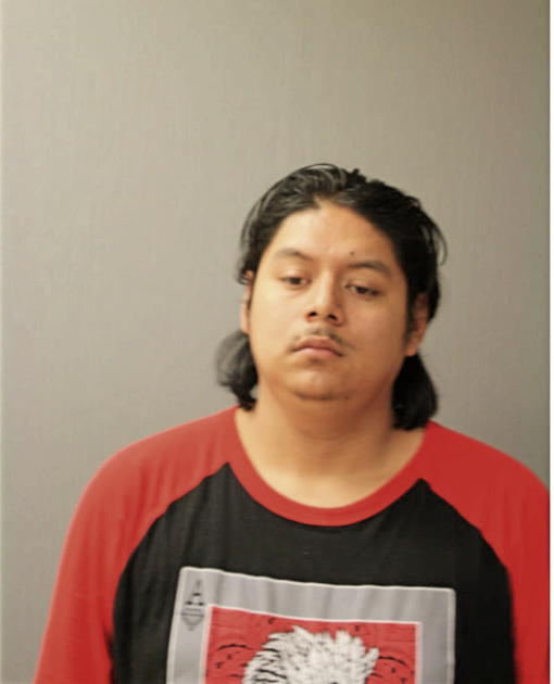 IGNACIO AVELAR, Cook County, Illinois