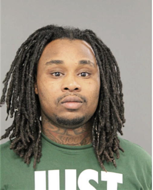 ANDREW D BROWN, Cook County, Illinois