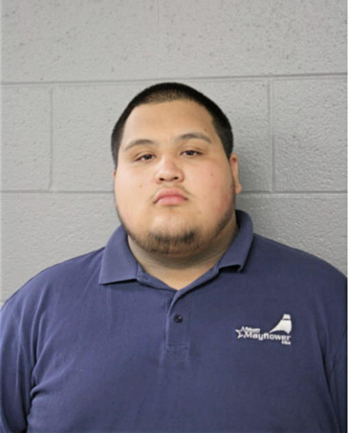 MARTIN CALDERON, Cook County, Illinois