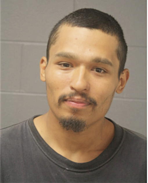 DAVID C CALVILLO, Cook County, Illinois