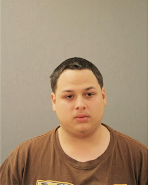 JESUS M CAZAREZ, Cook County, Illinois