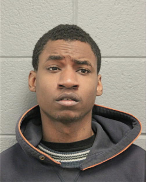 FALANDUS D DAVISON, Cook County, Illinois