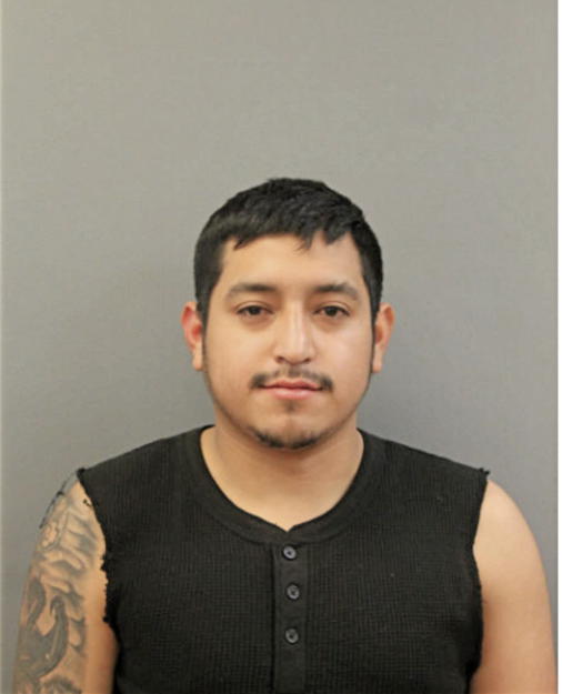 JESUS I DIAZ, Cook County, Illinois