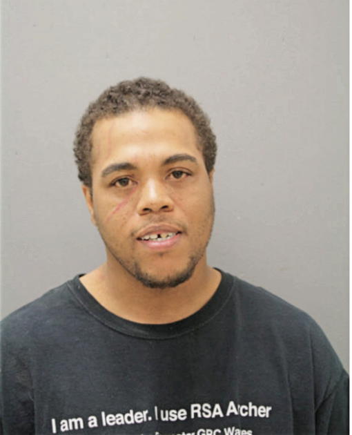 ADRIAN C HAMILTON, Cook County, Illinois