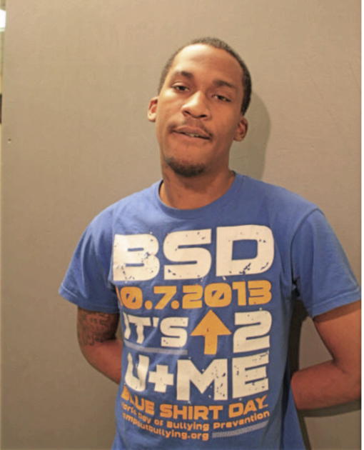 STEVEN E HAMPTON, Cook County, Illinois