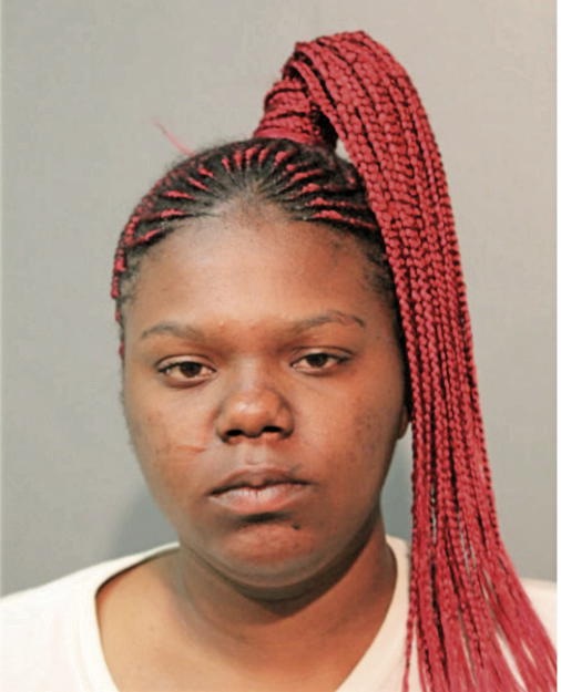 BRIANA S HEARD, Cook County, Illinois