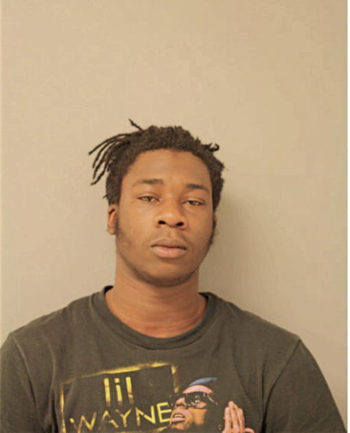 DOBY S LOWE, Cook County, Illinois