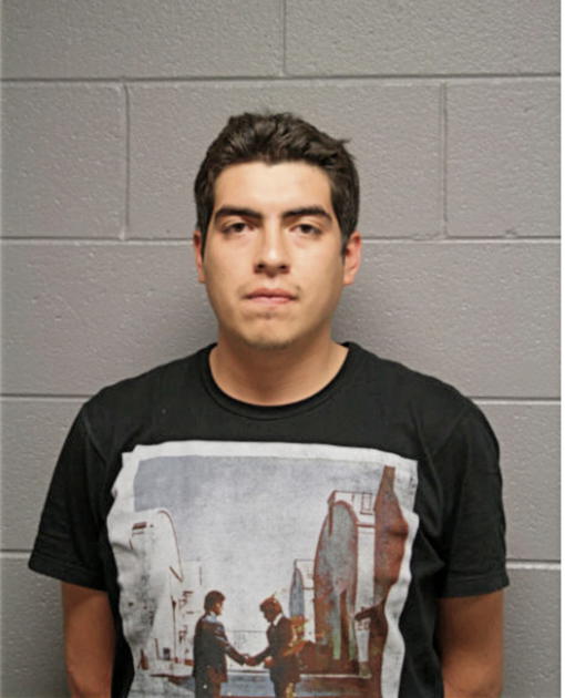 JORGE R LUNA, Cook County, Illinois
