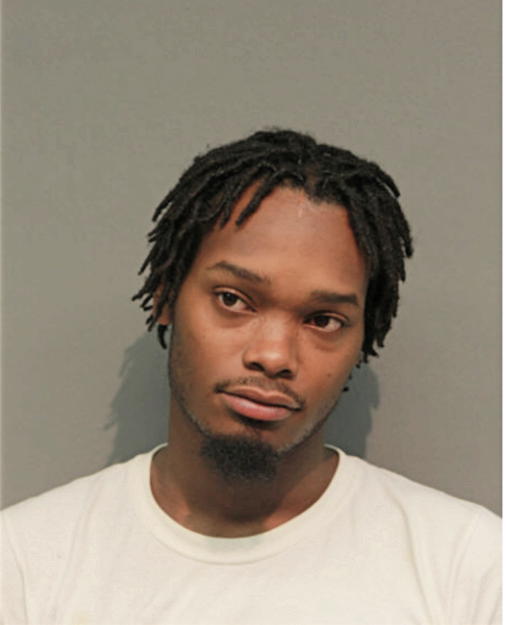 MARCUS A MANN, Cook County, Illinois