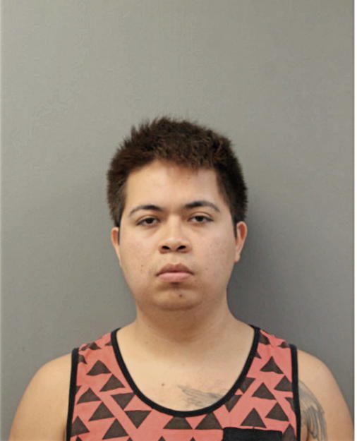 MIGUEL NEGRETE, Cook County, Illinois