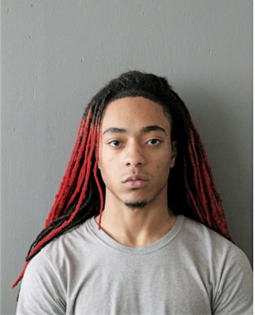 WILLIAM E NICHOLS, Cook County, Illinois