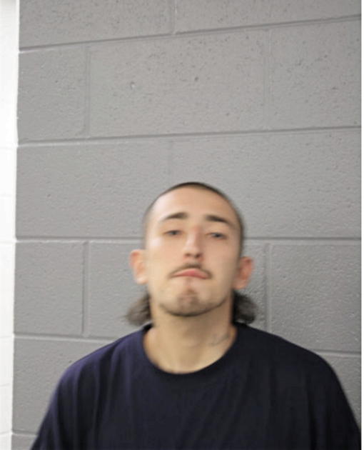 OSCAR PARDINO, Cook County, Illinois