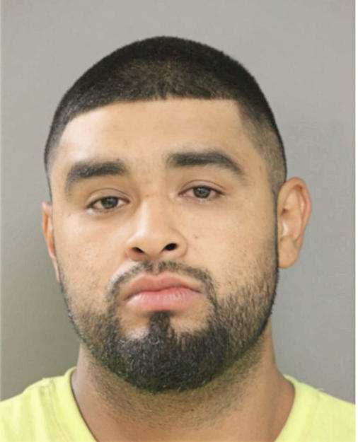 LEONARDO RAZO, Cook County, Illinois
