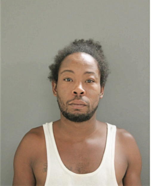 RAYMOND J VAN BUREN, Cook County, Illinois