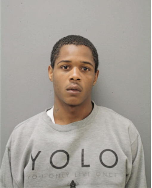 JALYN VERNER, Cook County, Illinois