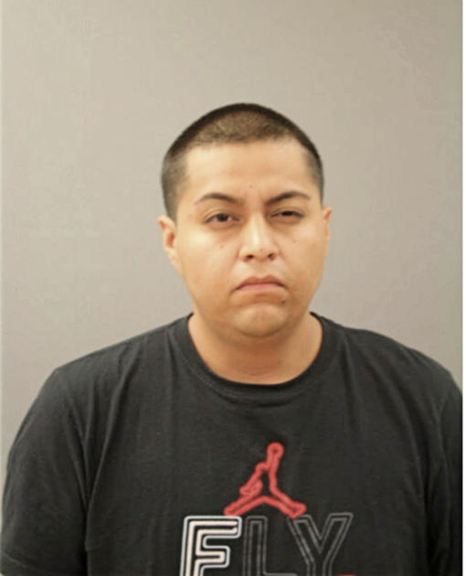 JOSE A ZEPEDA, Cook County, Illinois