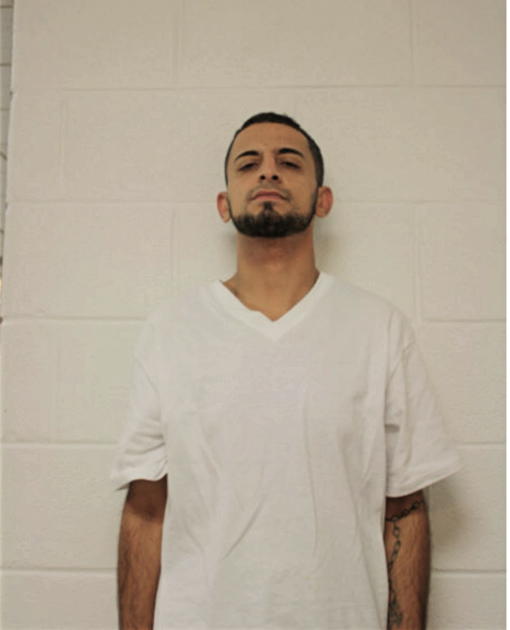 RAMI S ZIYADAT, Cook County, Illinois
