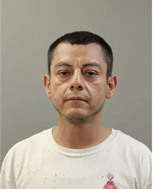 JOSUE ARENA, Cook County, Illinois