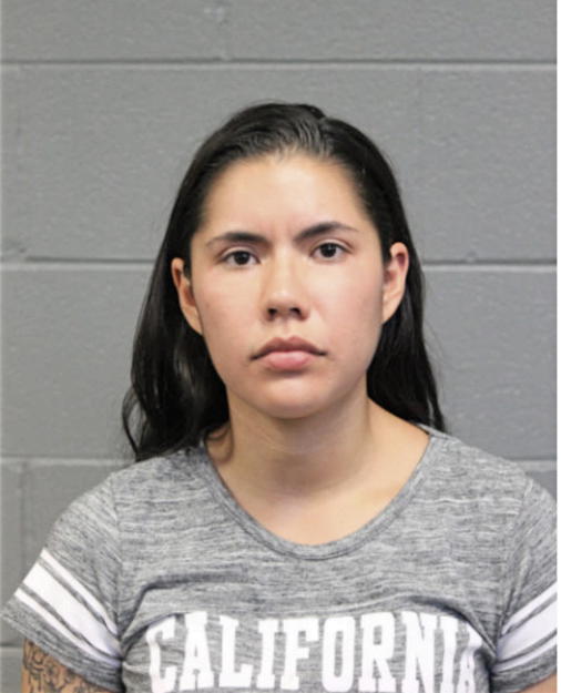 VANESA AVINA, Cook County, Illinois