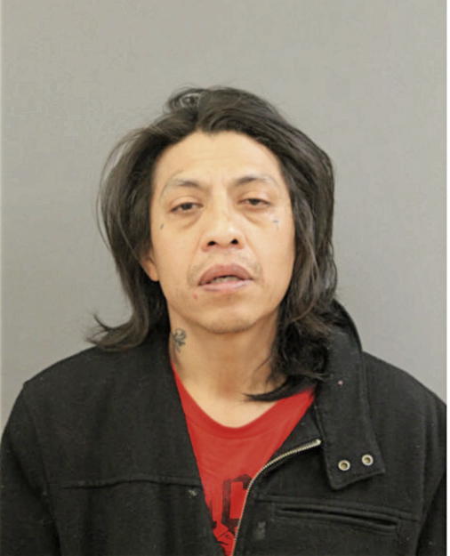 NICOLAS CORTEZ, Cook County, Illinois