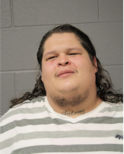 CHRISTOPHER J CRUZ, Cook County, Illinois