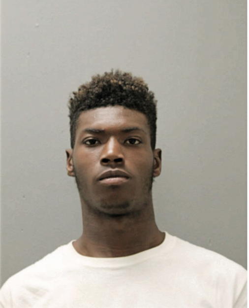 LAMOUS D BROWN, Cook County, Illinois