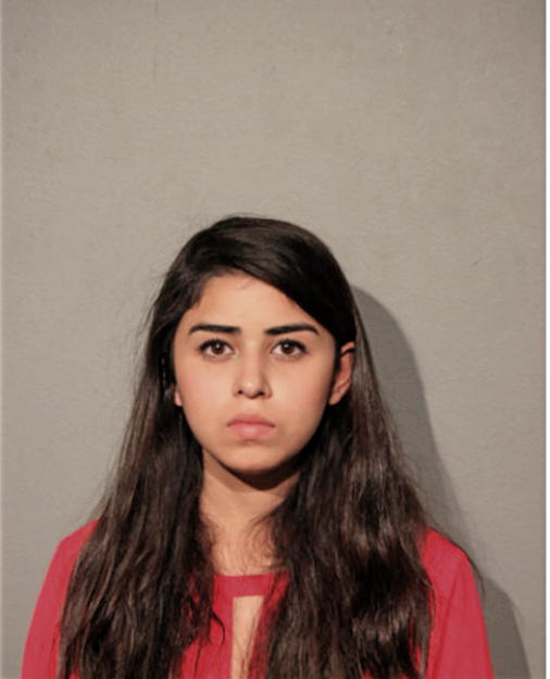 ALIZEH FATIMA, Cook County, Illinois